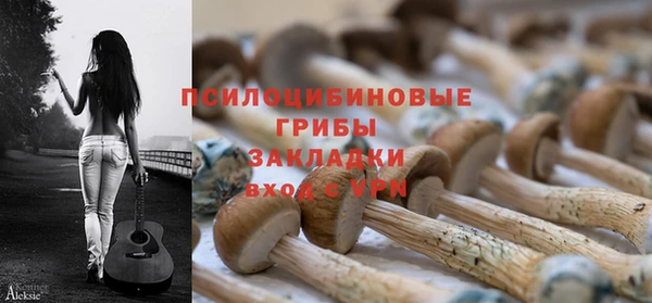 Альфа ПВП Алексин