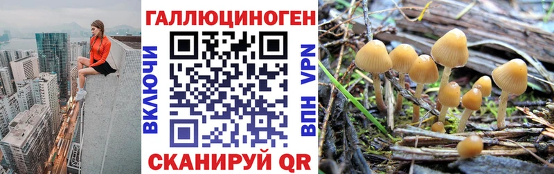 Галлюциногенные грибы мухоморы  Южно-Сахалинск 