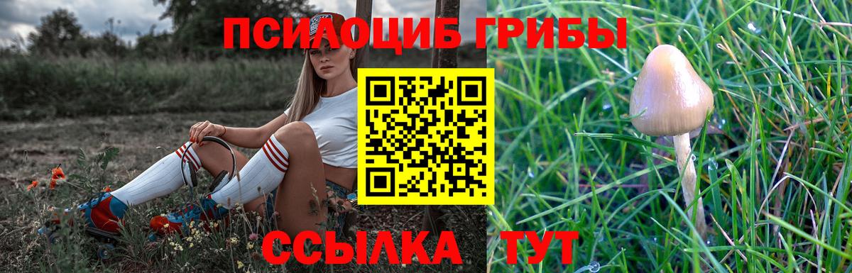Псилоцибиновые грибы Psilocybine cubensis  Галлюциногенные грибы ЛСД  Южно-Сахалинск  Вход с VPN 